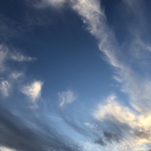 tonytoran画不打马原画
